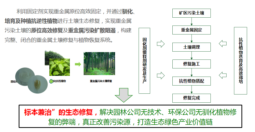 草莓视频污在线方案優勢