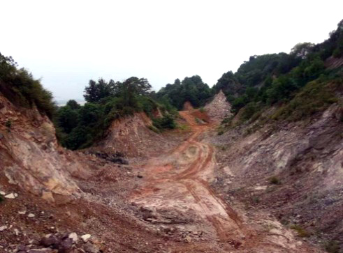 重金屬汙染土壤草莓视频污在线前