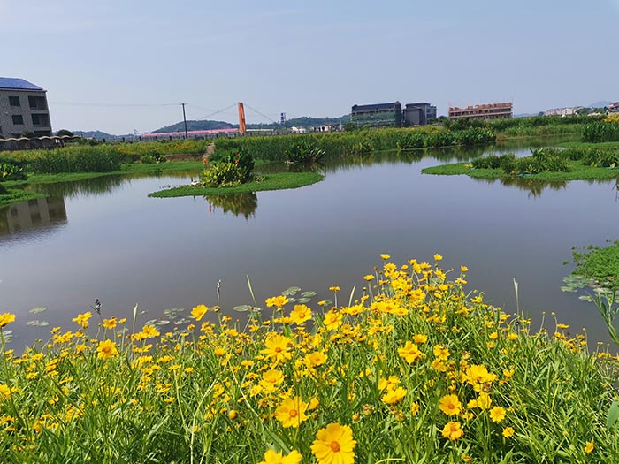 衡陽縣蒸水流域山水林田湖草生態保護草莓视频污在线工程試點項目