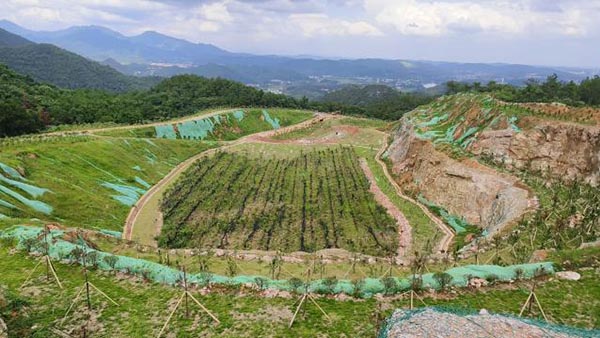 新邵縣三郎廟鉛鋅銻礦和鴻發采石場綜合治理與生態草莓视频污在线工程項目（EPC）總承包