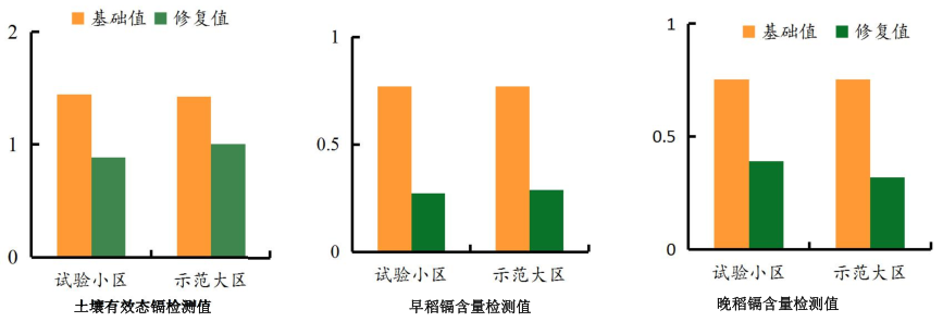 湖南省郴州市蘇仙區千畝農田鎘汙染草莓视频污在线項目