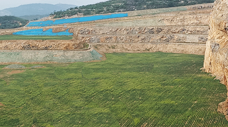 鶴壁市淇濱區南太行地區山水林田湖草生態保護草莓视频污在线工程