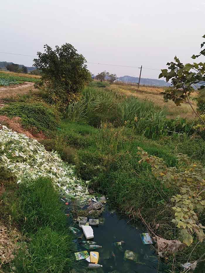 衡陽縣蒸水流域山水林田湖草生態保護草莓视频污在线工程試點項目