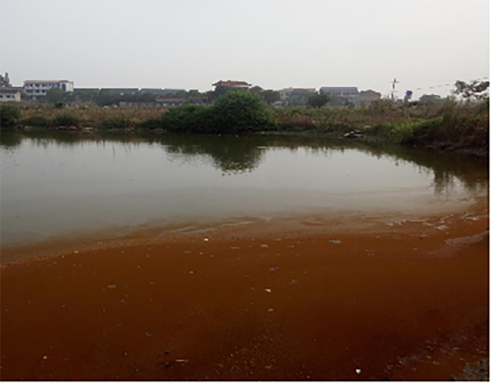 衡陽縣蒸水流域山水林田湖草生態保護草莓视频污在线工程試點項目