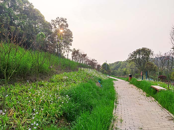 衡陽市常寧水口山鉛鋅煤礦區山水林田湖草生態保護草莓视频污在线試點工程